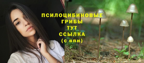 героин Алзамай