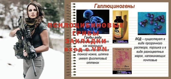 герыч Алексин
