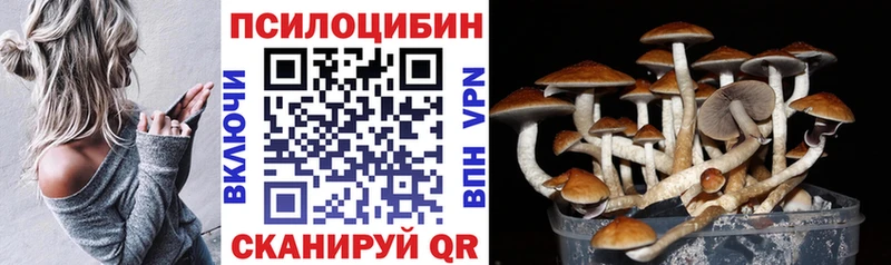 Псилоцибиновые грибы мицелий Первоуральск